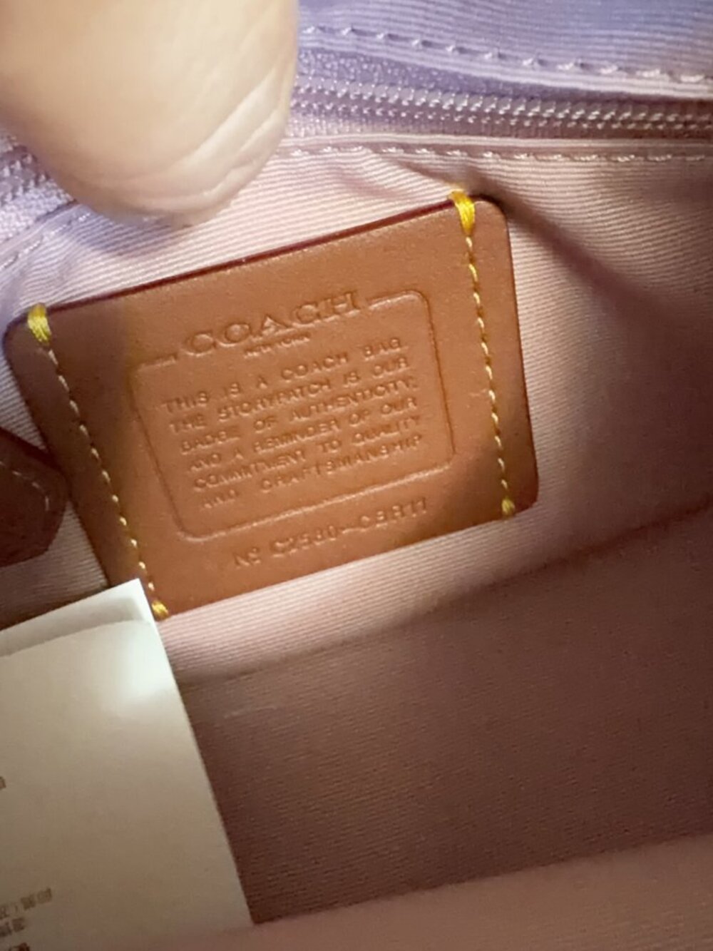 NWT Coach Carmen Mini Crossbody Bag CBR11 - Picture 6 of 6